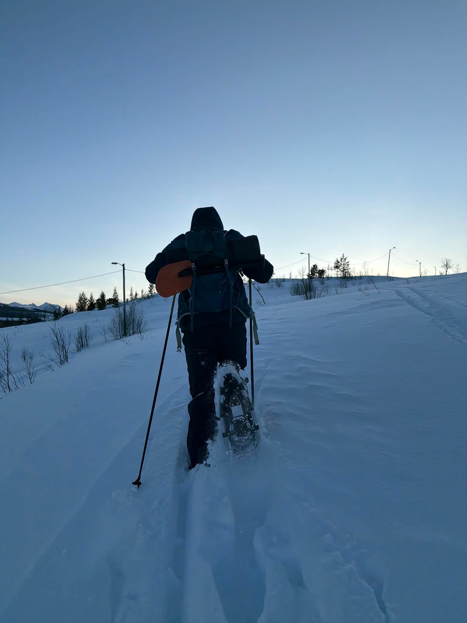 A guide leading a snowshoe group along Kaldfjorden