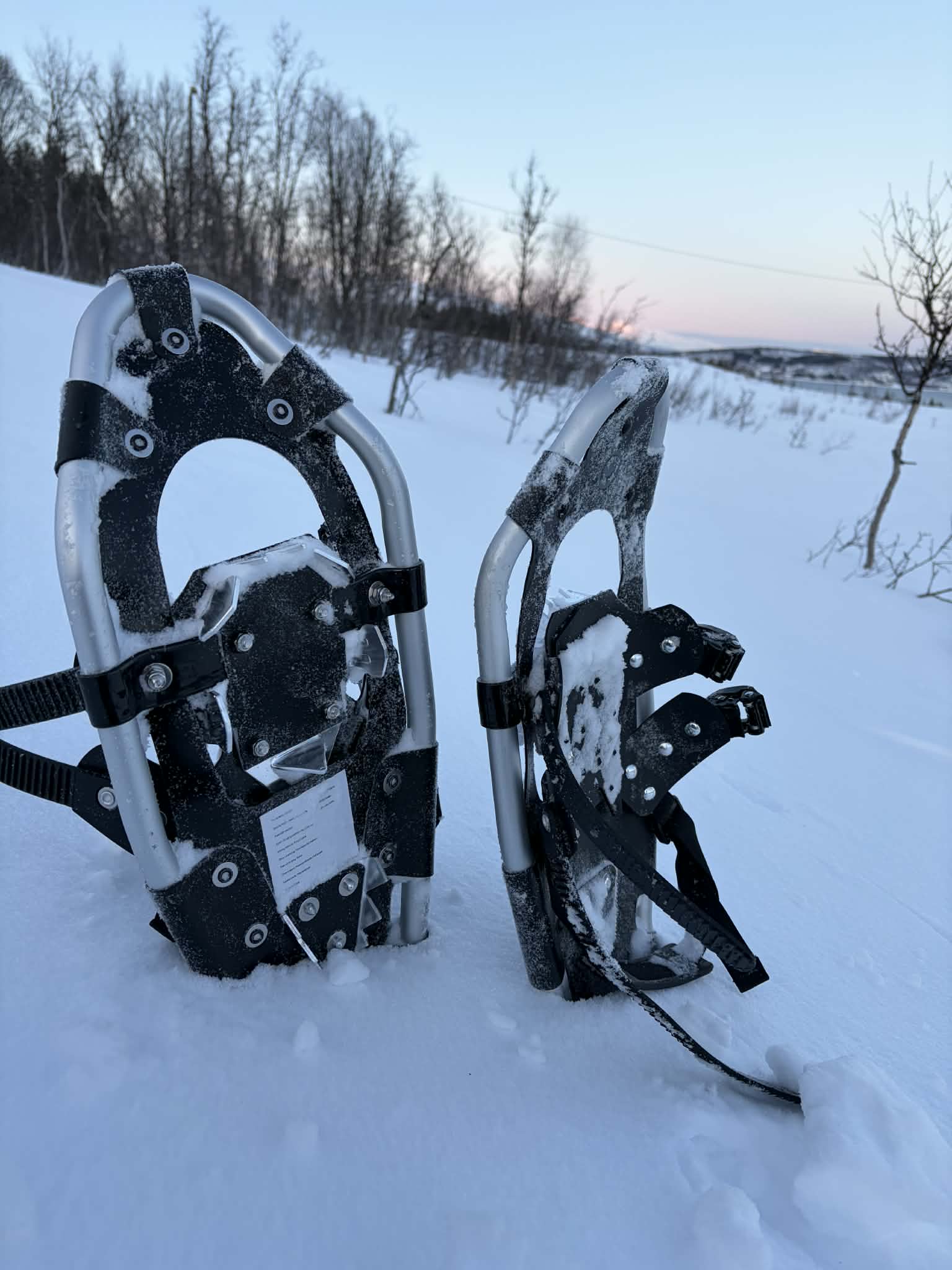 Daylight view along the Kaldfjorden coastal snowshoe trail